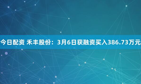 今日配资 禾丰股份：3月6日获融资买入386.73万元